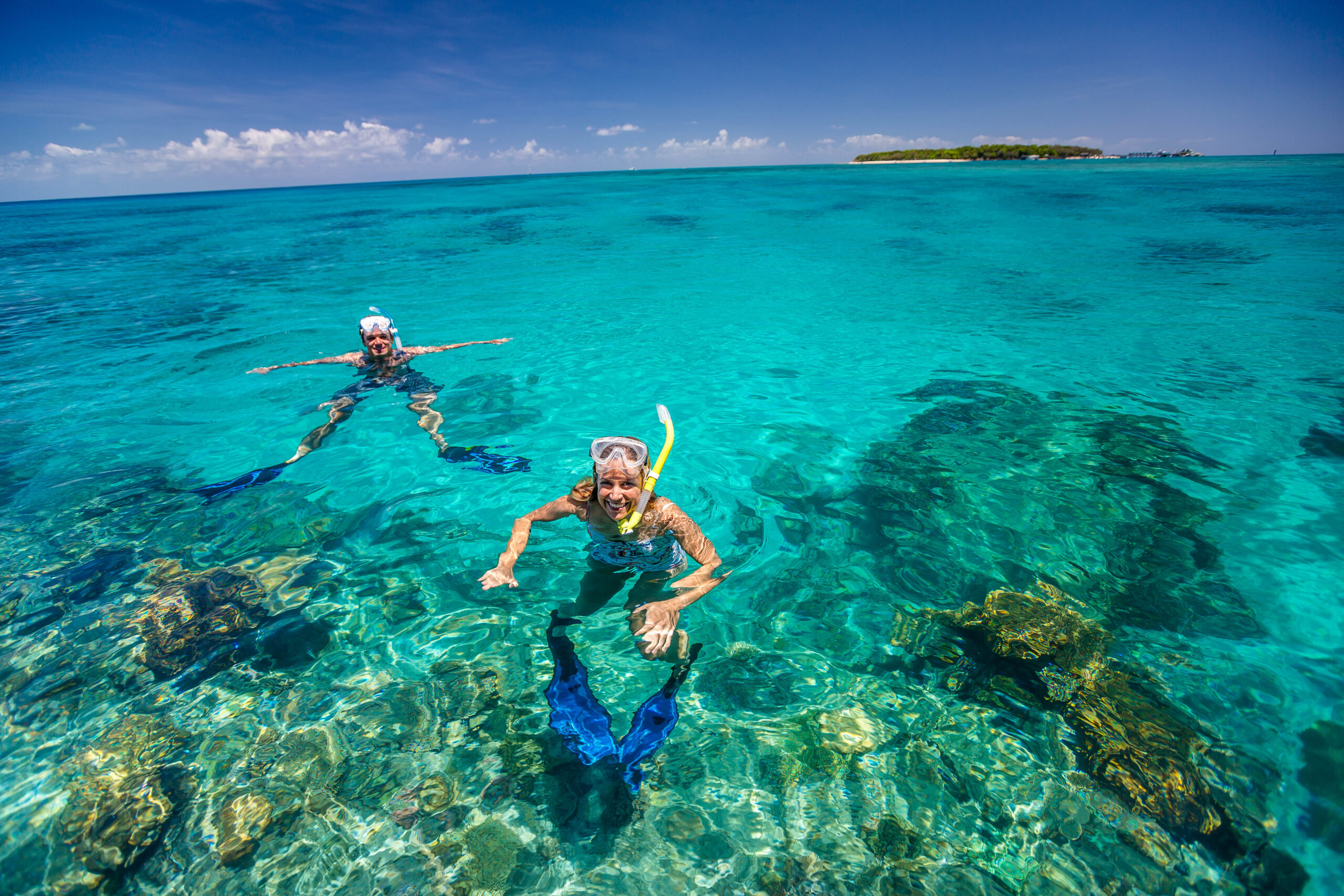 cairns great barrier reef tours catamaran