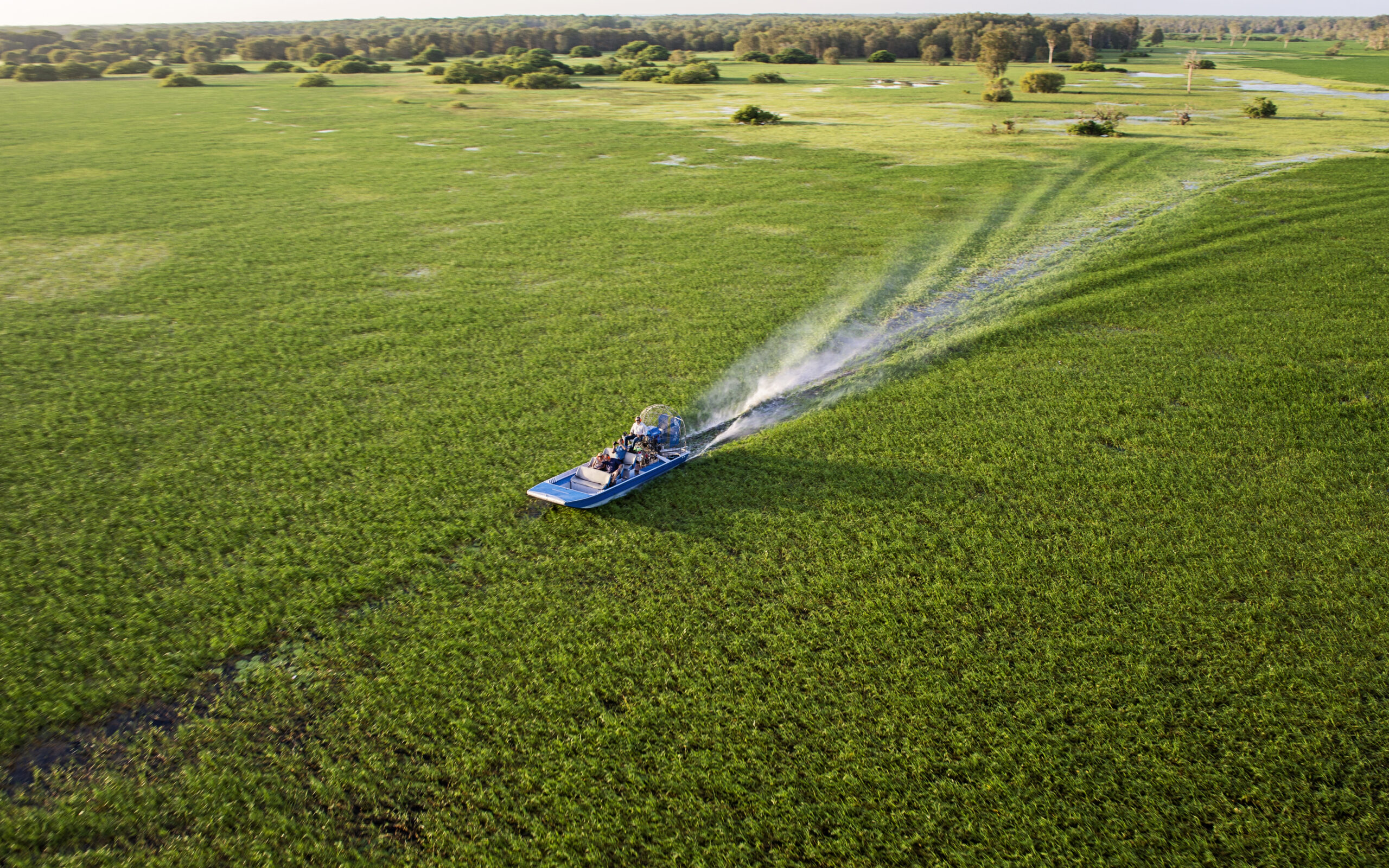 Scenic Helicopter Flights
