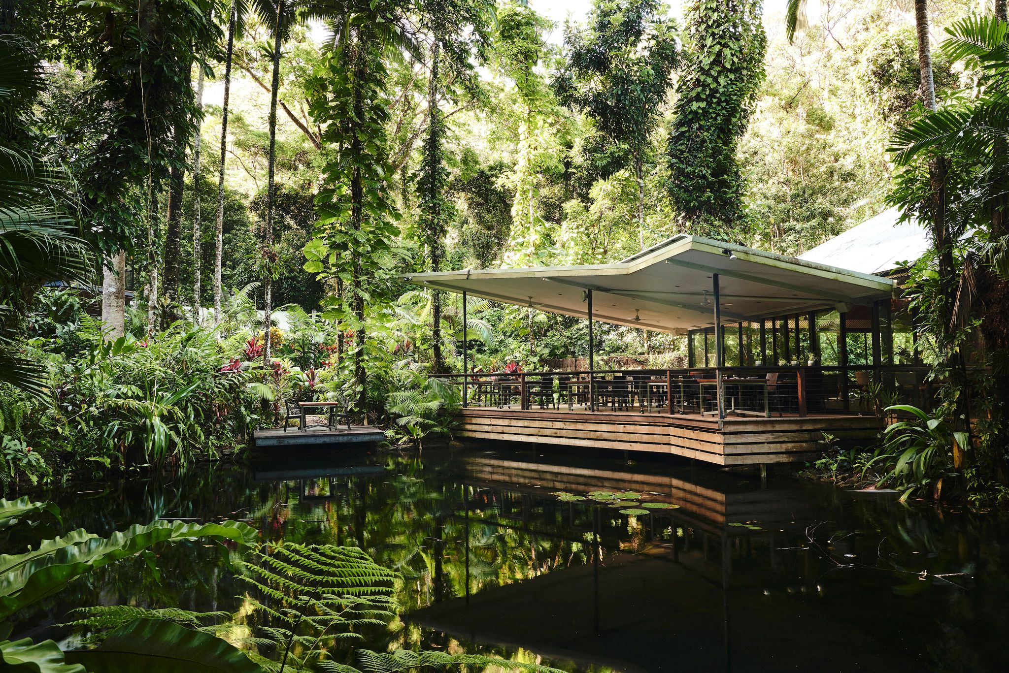 Daintree Ecolodge